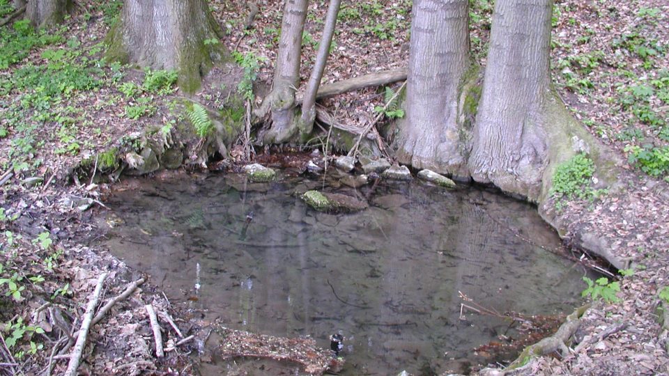 Řimické vyvěračky jsou rovněž dotovány vodou potoka Špraňku