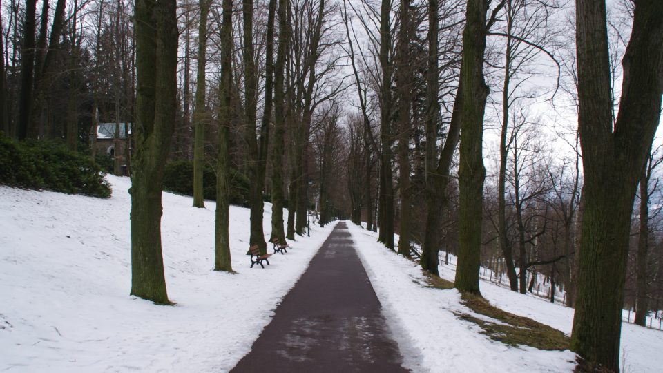 Promenádu lemuje více než 250 stromů