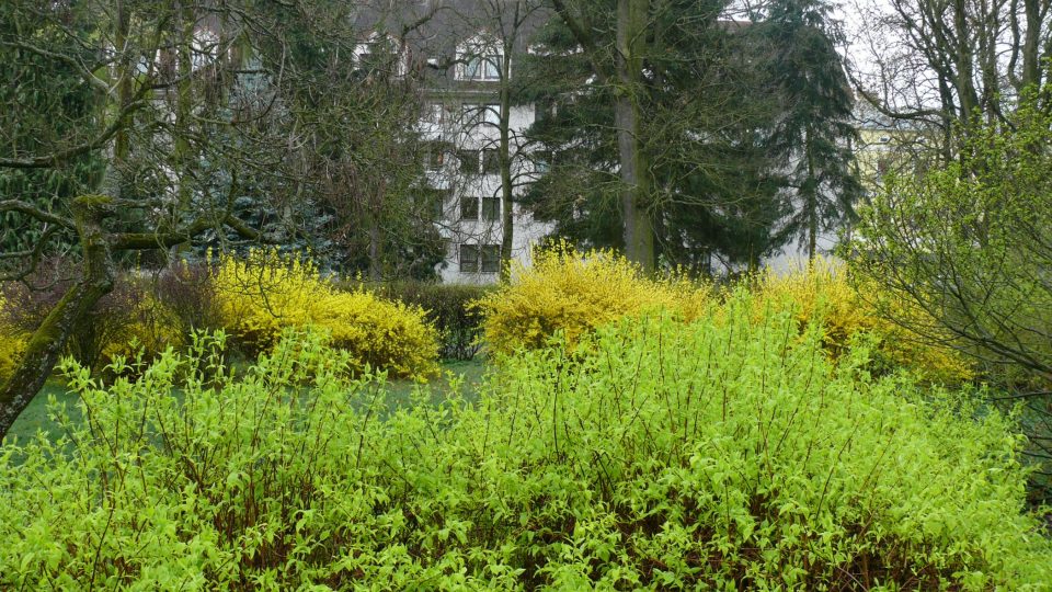 Na jaře arboretum hraje všemi možnými barvami