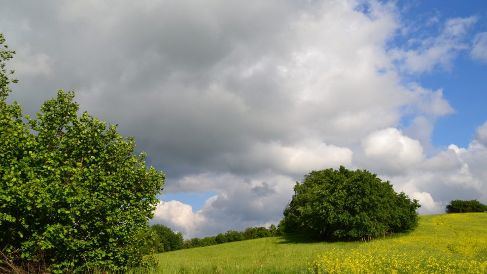 Přírodní památka Kocoury