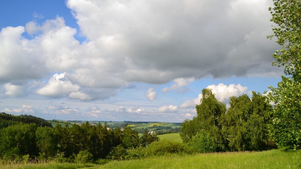 Přírodní památka Kocoury