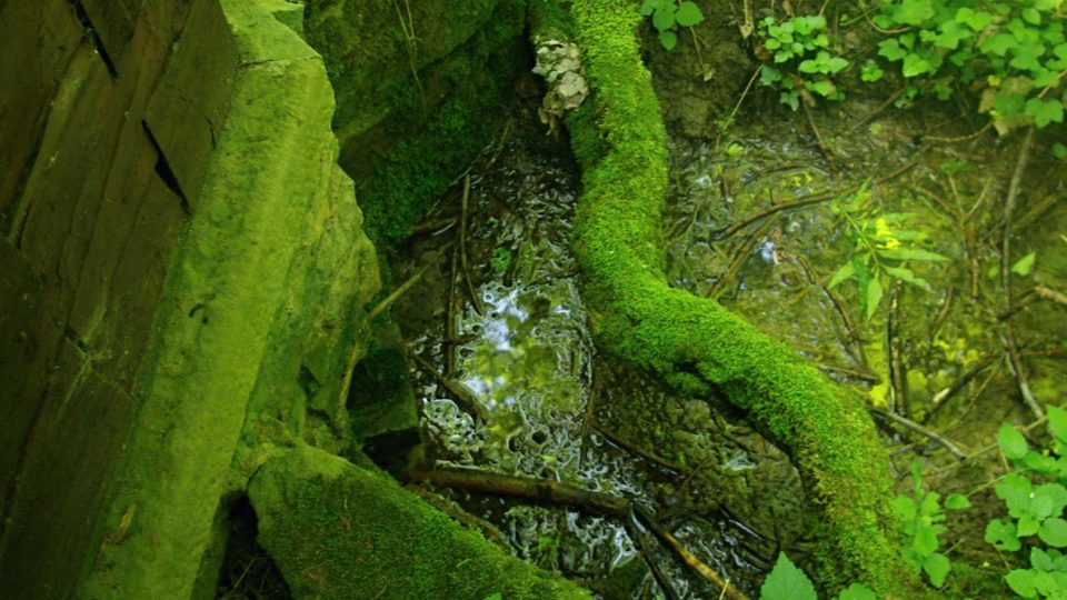 U středověké studánky 