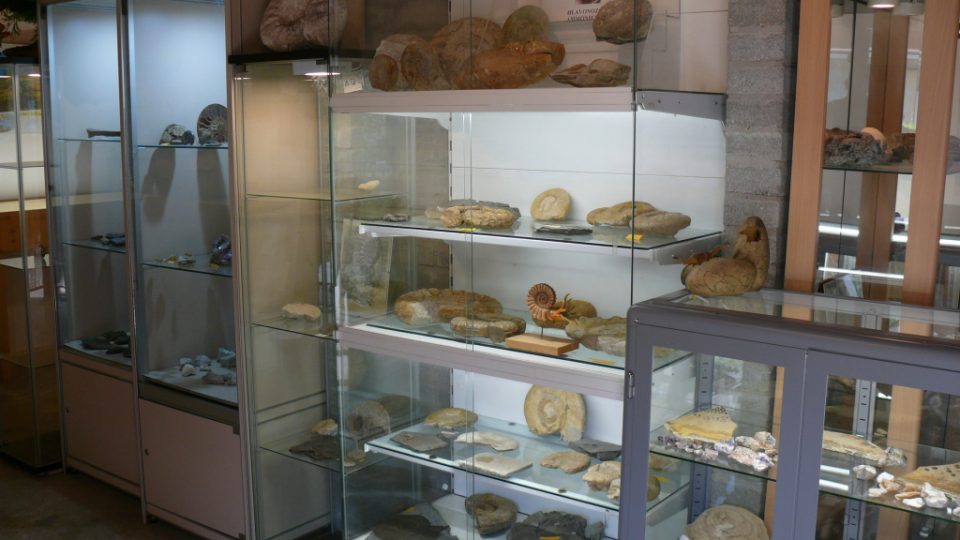 Pohled do vnitřku muzea zkamenělin