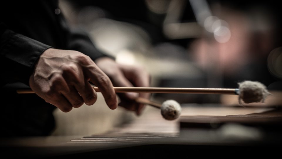 Hudební fórum Hradec Králové 2025 | foto: Zdeněk Fabiánek, Filharmonie Hradec Králové Hudební fórum Hradec Králové 2025