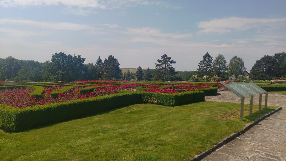 Jakmile park začne kvést, počet návštěvníků se násobí. Lidé se v něm procházejí i pozdě večer