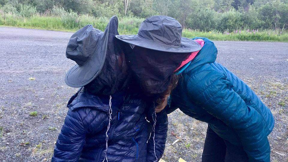 Svatební cesta na Yukonu přináší i svá úskalí - třeba že člověk pro množství komárů nevidí na svou manželku