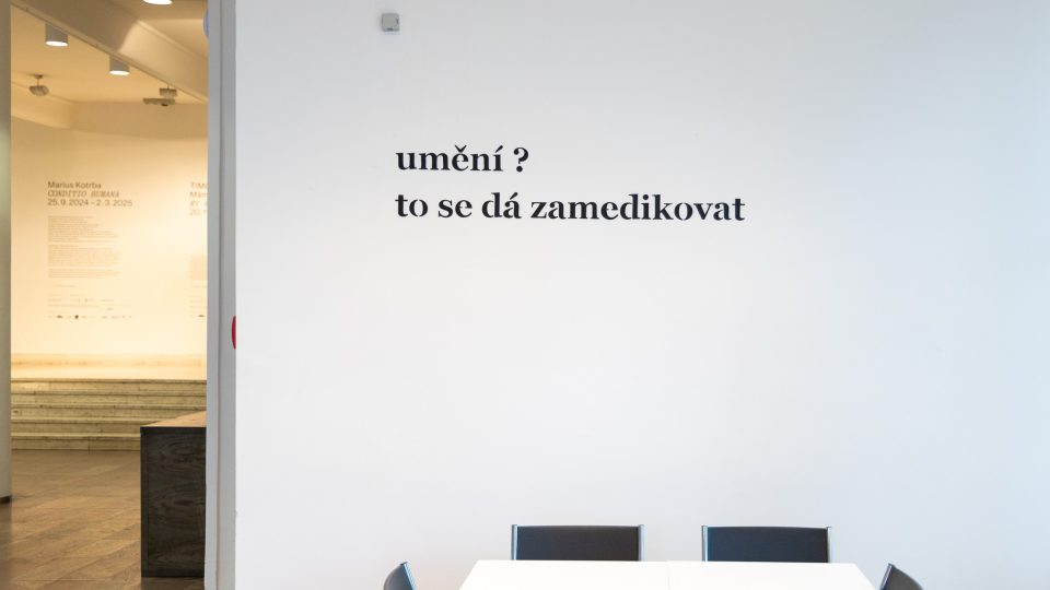 TIMO – Mám kořeny v květináči | 20. 11. 2024 – 2. 3. 2025 | Dům umění, Galerie Jaroslava Krále