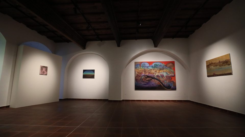 Výstava Veroniky Holcové v Alšově jihočeské galerii