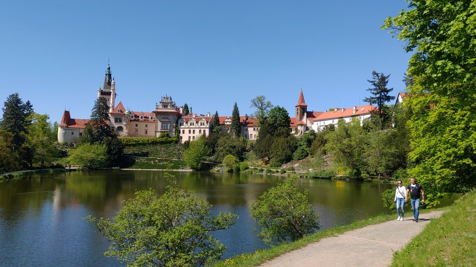 V Podzámeckém rybníku chová Botanický ústav ryby