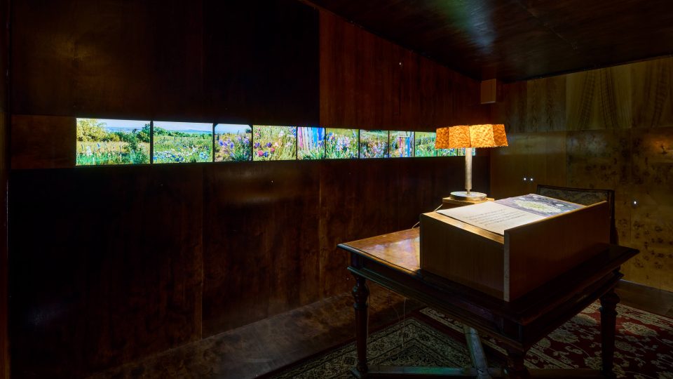 Barbora Lungová | foto: Národní galerie Barbora Lungová