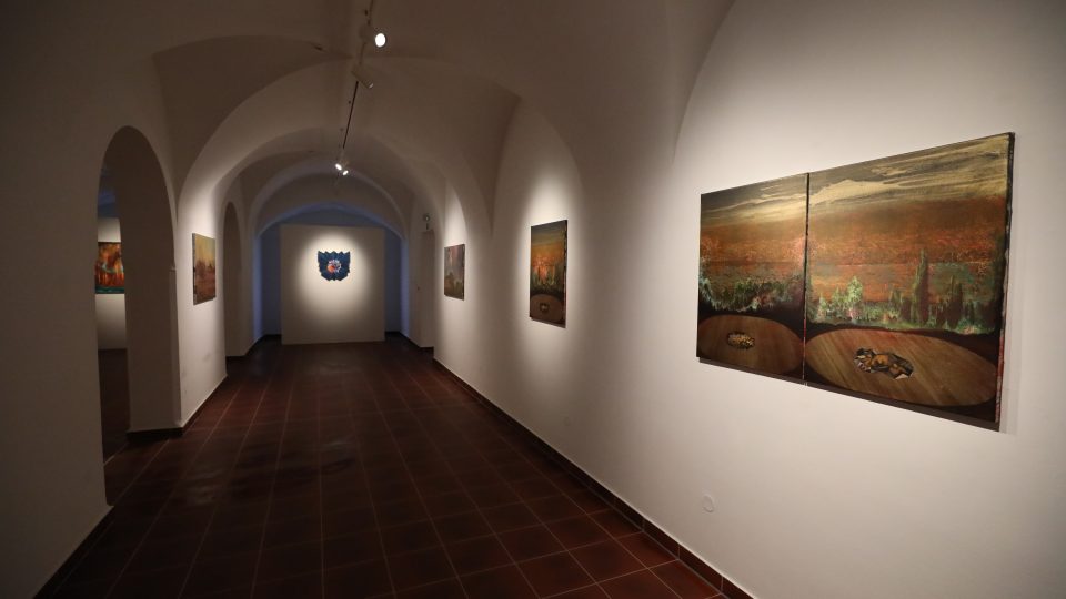 Výstava Veroniky Holcové v Alšově jihočeské galerii