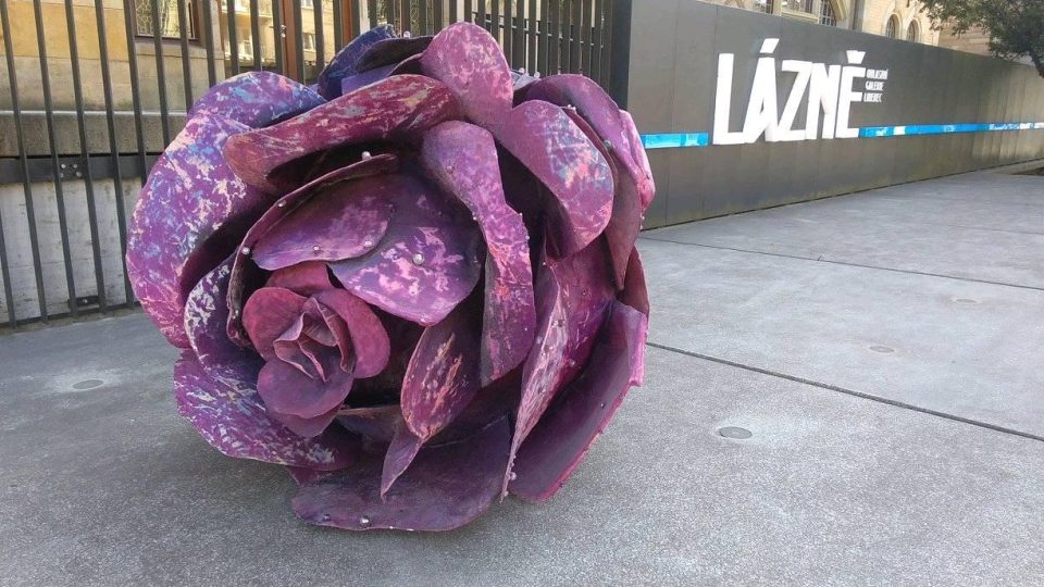 Růže umělkyně Magdalény Roztočilové před libereckou galerií upozorňuje na novou výstavu