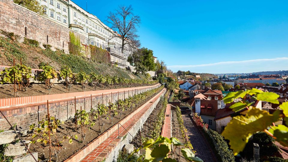 V Jižních zahradách Pražského hradu je Plečnikova vinice s terasami z nepálených cihel