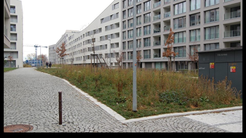 Parkové úpravy nové bytové výstavby v Praze-Karlíně