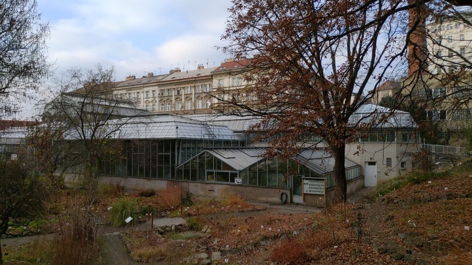 Botanická zahrada je zelenou oázou uprostřed Prahy 2