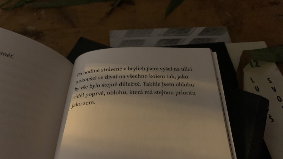 Sbírky Luboše Svobody Vypadáme, že máváme (Fra, 2014), M-a-n-u-e-l-l-e Arbeit (Hochroth 2022), Rád čichám ke zvířatů, která jsi vycpala ty (Rubato, 2023), Koleje jsou pevně přibité k vidění (Rubato, 2024)