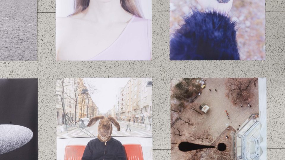 Odvaha – studujici Ateliéru fotografie II