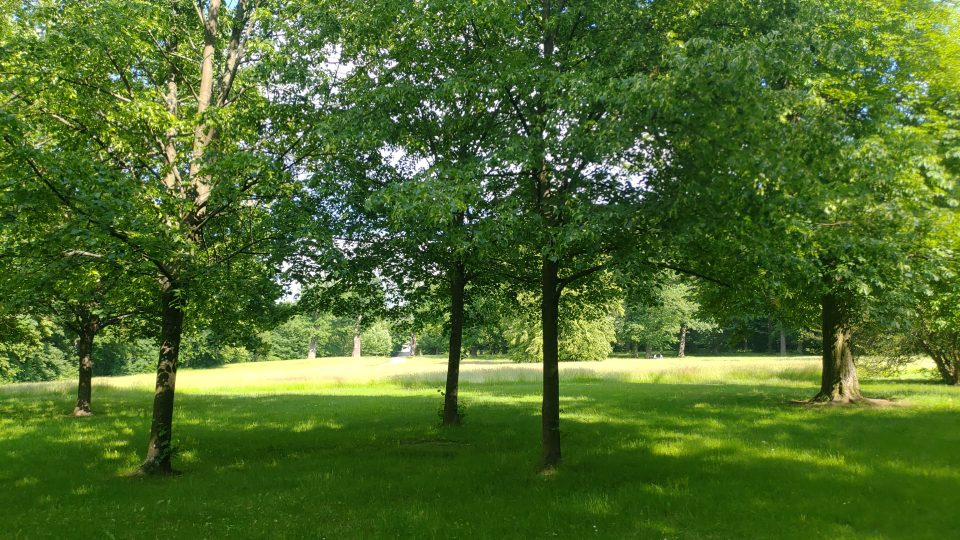 Park spravuje město Vlašim a také pečuje o jeho přírodu. Odbornější zásahy má na starosti Český svaz ochránců přírody Vlašim