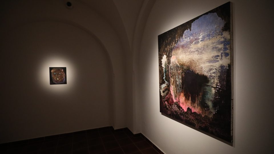 Výstava Veroniky Holcové v Alšově jihočeské galerii