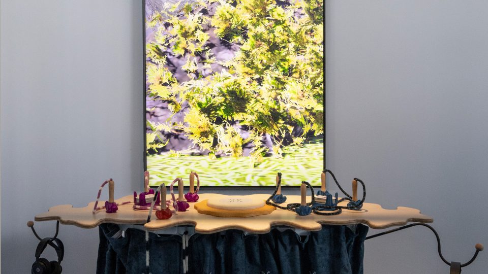 Eloïse Bonneviot – Anne de Boer, Tracing a Seeping Terrain, pohled do výstavy