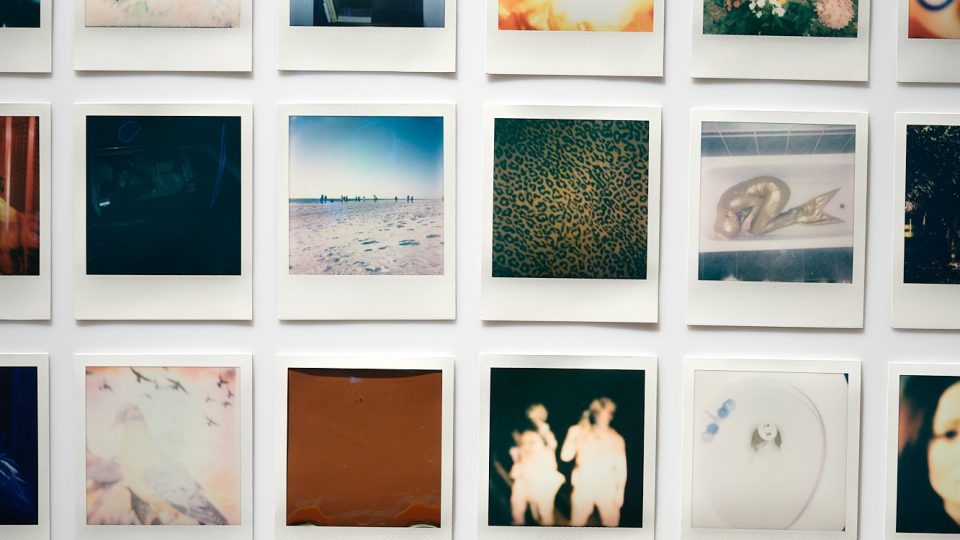 Odvaha – Ateliér fotografie II