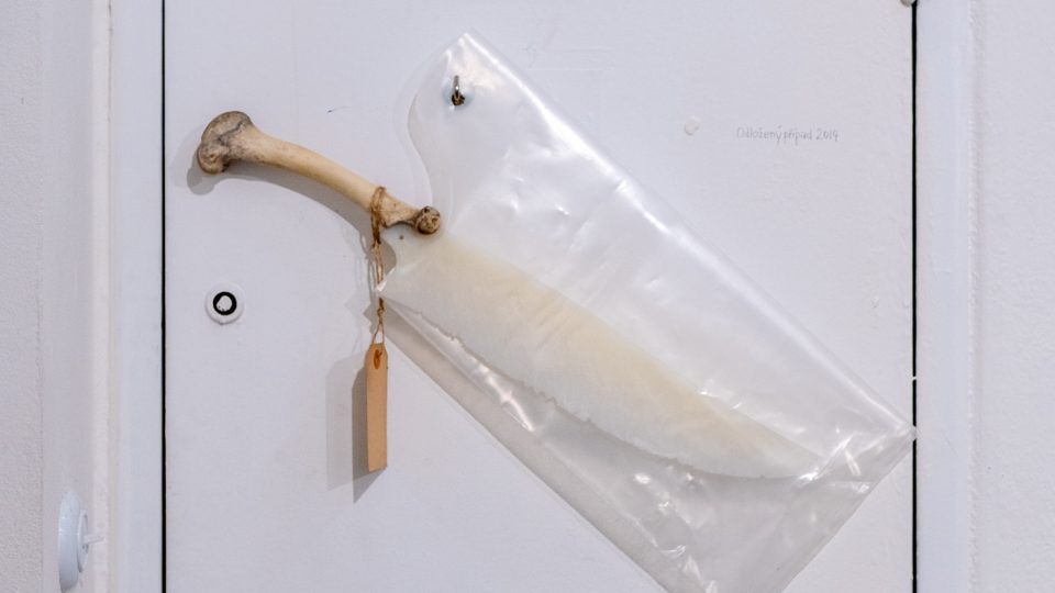 Výstava Odložený případ, František Skála