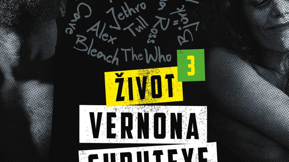 Virginie Despentesová: Život Vernona Subutexe 3 | Překlad Petra Zikmundová