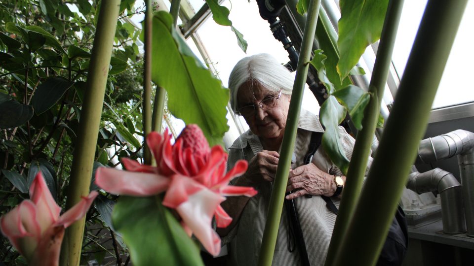 Natáčení pořadu s Miluší Hradskou ve skleníku Fata Morgana v Botanické zahradě Praha