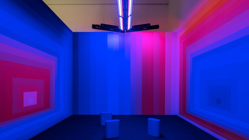 Výstava Total Space: Studio Luftwerk pracovalo s výraznými barevnými plochami