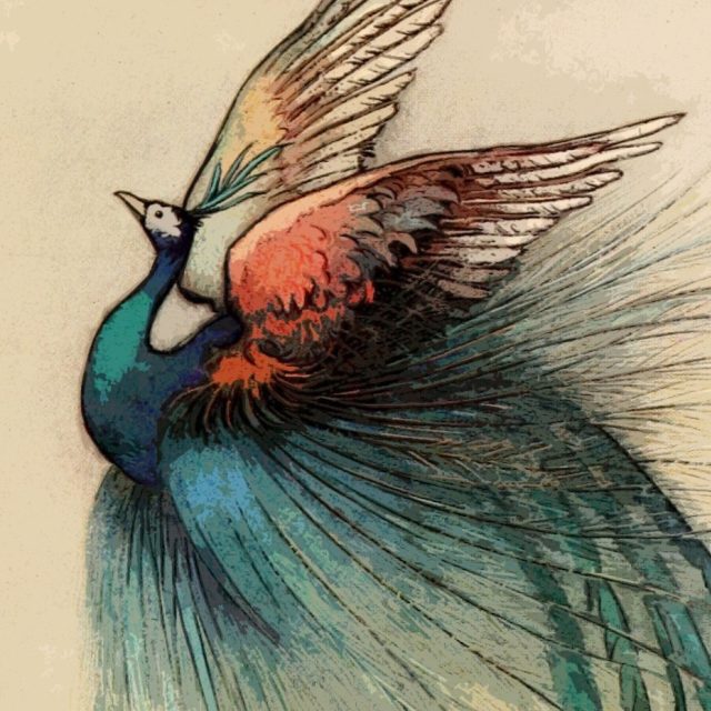 Princ hledá při putování ve světě svou vyvolenou,  která se dokáže proměnit z pestrobarevné pávice v půvabnou dívku | foto: CC0 Public domain,  Fotobanka Pixabay