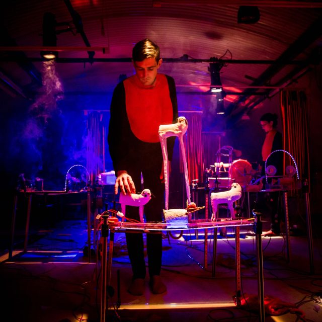 The Assembly of Animals | foto: Joyce Nicholls