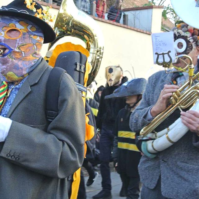 Satirický karnevalový průvod Sametové posvícení | foto: Dominik Čejka,  Český rozhlas