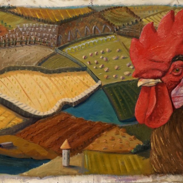 Kohout malířky Rotem Manor | foto: Rotem Manor