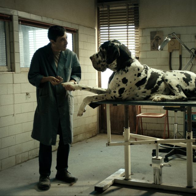 Z filmu Dogman,  režie Matteo Garrone  | foto: Cinemart