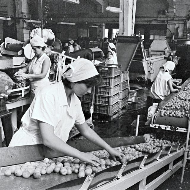 Michal Sýkora: Nadějné vyhlídky. Vzpomínka na dospívání a brigády v době normalizace | foto: Jiří Vlach,  ČTK