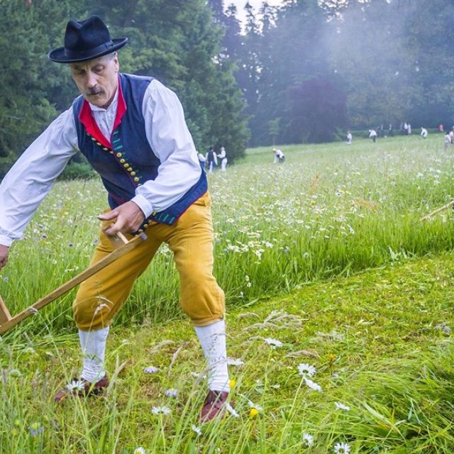 Kosení luk | foto: Markéta Ševčíková,  Český rozhlas,  Český rozhlas