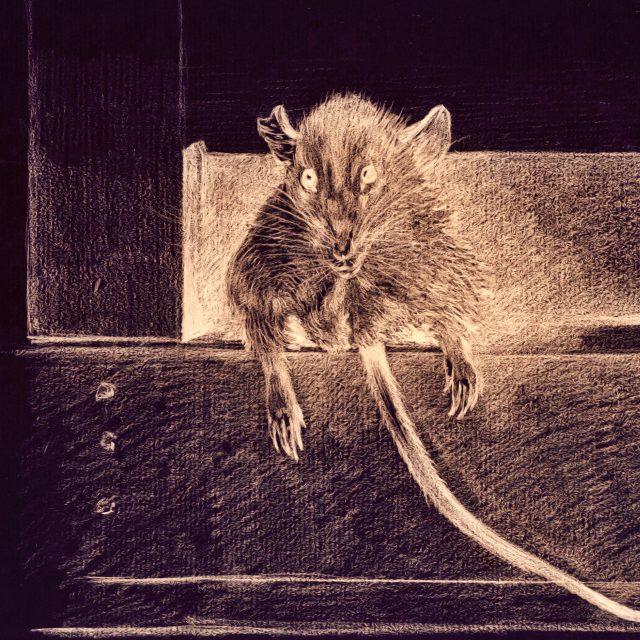 Ladislav Fuks: Myši Natálie Mooshabrové | foto: Profimedia