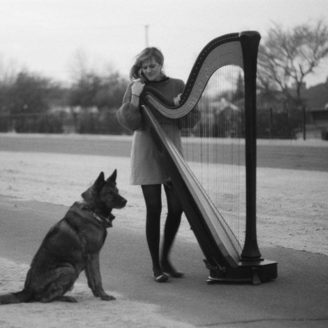 Mary Lattimore | foto: Tiger Bomb,  Ghostly International