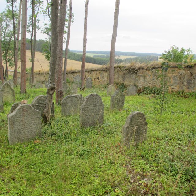 Židovský hřbitov Telice | foto: Tamara Salcmanová
