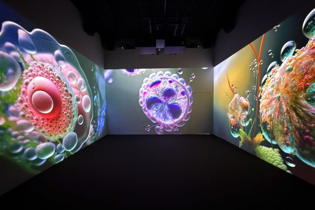 Signal Space | foto: Amálie Berková,  Český rozhlas