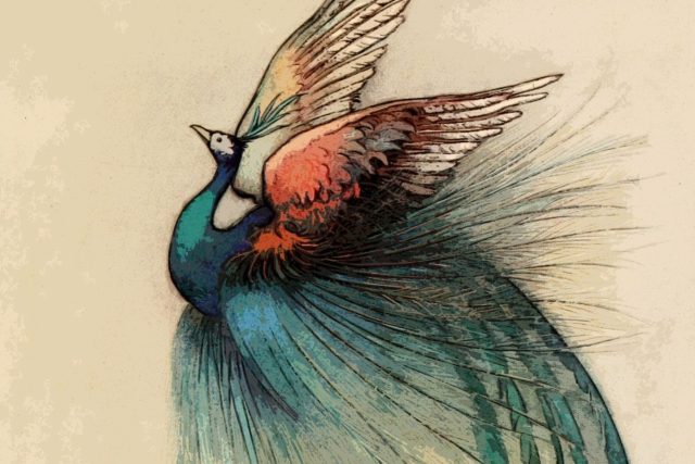 Princ hledá při putování ve světě svou vyvolenou,  která se dokáže proměnit z pestrobarevné pávice v půvabnou dívku | foto: CC0 Public domain,  Fotobanka Pixabay