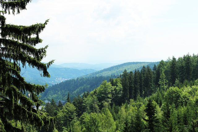 české hory,  les,  panorama | foto: Fotobanka Pixabay