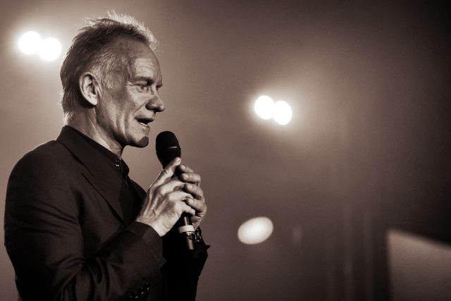 Sting | foto: Shutterstock