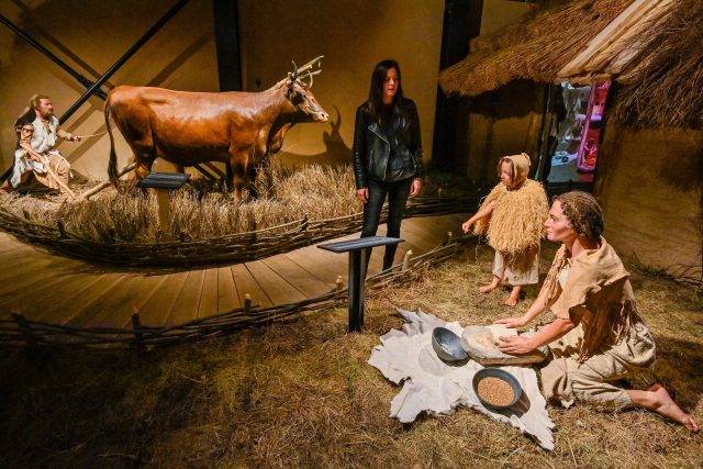 Archeologická expozice Archevita - Stopami věků,  Středočeské muzeum v Roztokách u Prahy | foto: Vít Šimánek,  ČTK