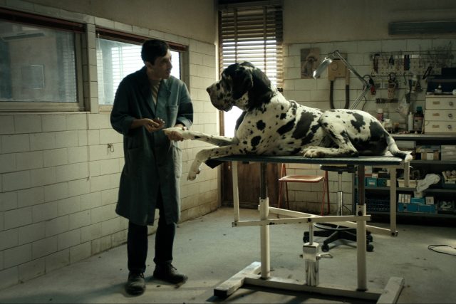 Z filmu Dogman,  režie Matteo Garrone  | foto: Cinemart