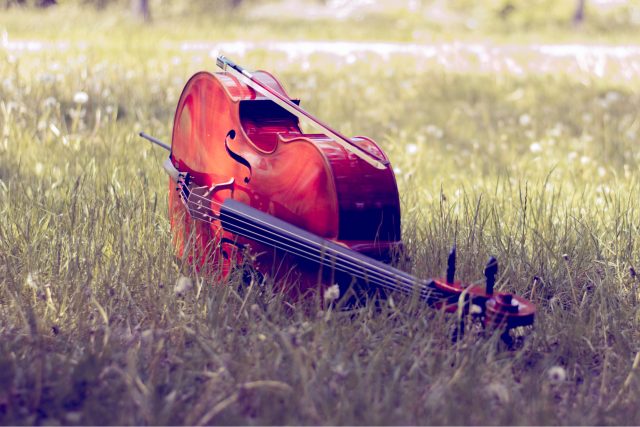V hlavní roli violoncello  | foto: Shutterstock