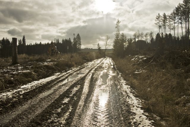 Hlavně v předjaří nebývá pěší putování po starých cestách žádný med | foto: Vít Pohanka,  Český rozhlas