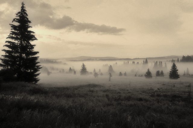 Šumava | foto: Profimedia