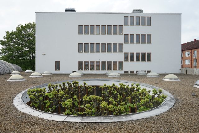 Kulturní centrum ve švédském městě Eslöv,  architekt interiéru Hans Asplund | foto: Adam Štěch