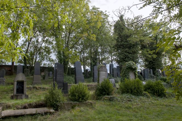 Praskolesy – židovský hřbitov | foto: Monika Žitníková